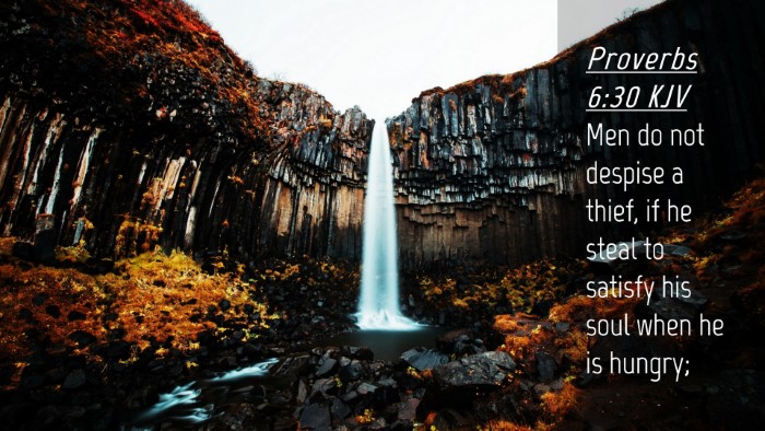 Picture 04 - Proverbs 6:30 KJV Desktop Wallpaper - Men do not despise a thief, if he steal to - Desktop Bible Verse Wallpaper