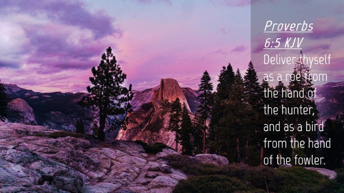 Picture 04 - Proverbs 6:5 KJV Desktop Wallpaper - Deliver thyself as a roe from the hand of the - Desktop Bible Verse Wallpaper
