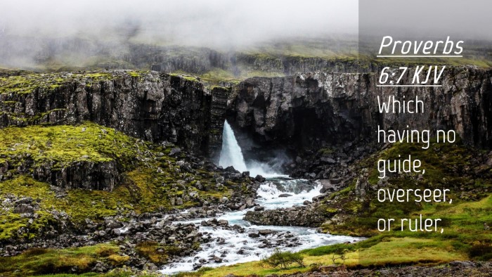 Picture 04 - Proverbs 6:7 KJV Desktop Wallpaper - Which having no guide, overseer, or - Desktop Bible Verse Wallpaper