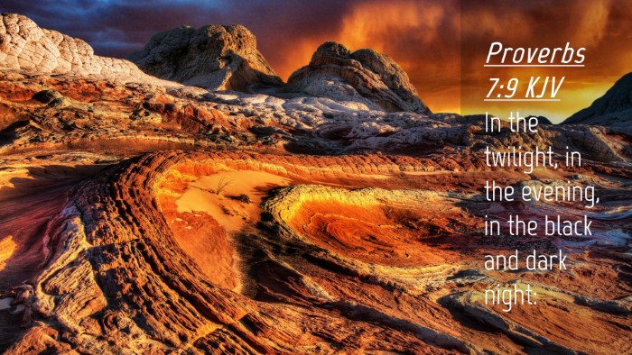 Picture 04 - Proverbs 7:9 KJV Desktop Wallpaper - In the twilight, in the evening, in the black and - Desktop Bible Verse Wallpaper