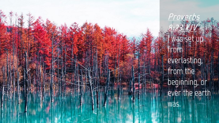 Picture 04 - Proverbs 8:23 KJV Desktop Wallpaper - I was set up from everlasting, from the - Desktop Bible Verse Wallpaper