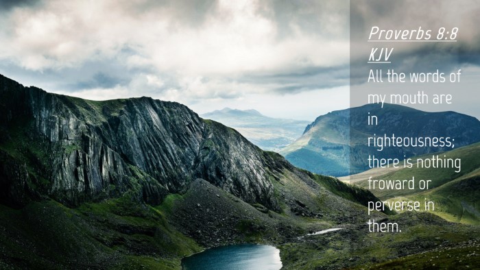 Picture 04 - Proverbs 8:8 KJV Desktop Wallpaper - All the words of my mouth are in righteousness; - Desktop Bible Verse Wallpaper