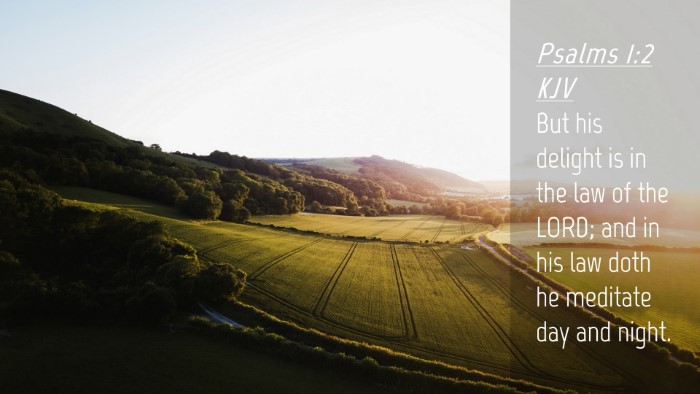 Picture 04 - Psalms 1:2 KJV Desktop Wallpaper - But his delight is in the law of the LORD; and in - Desktop Bible Verse Wallpaper