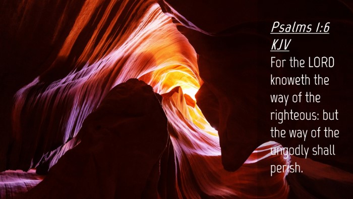 Picture 04 - Psalms 1:6 KJV Desktop Wallpaper - For the LORD knoweth the way of the righteous: - Desktop Bible Verse Wallpaper