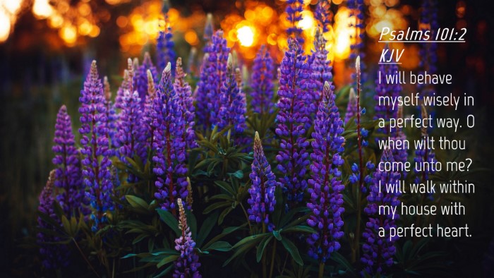 Picture 04 - Psalms 101:2 KJV Desktop Wallpaper - I will behave myself wisely in a perfect way. O - Desktop Bible Verse Wallpaper