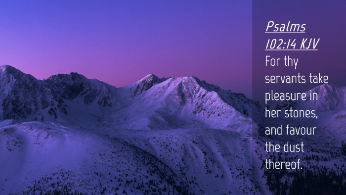Picture 04 - Psalms 102:14 KJV Desktop Wallpaper - For thy servants take pleasure in her stones, and - Desktop Bible Verse Wallpaper