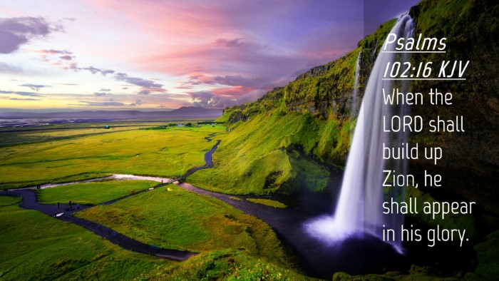 Picture 04 - Psalms 102:16 KJV Desktop Wallpaper - When the LORD shall build up Zion, he shall - Desktop Bible Verse Wallpaper