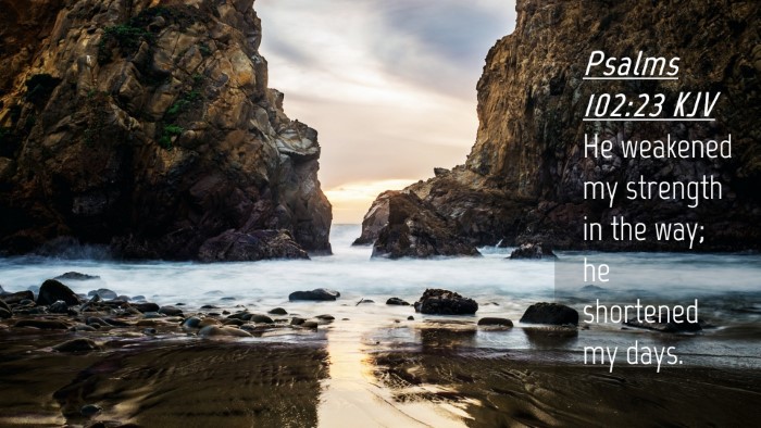 Picture 04 - Psalms 102:23 KJV Desktop Wallpaper - He weakened my strength in the way; he shortened - Desktop Bible Verse Wallpaper