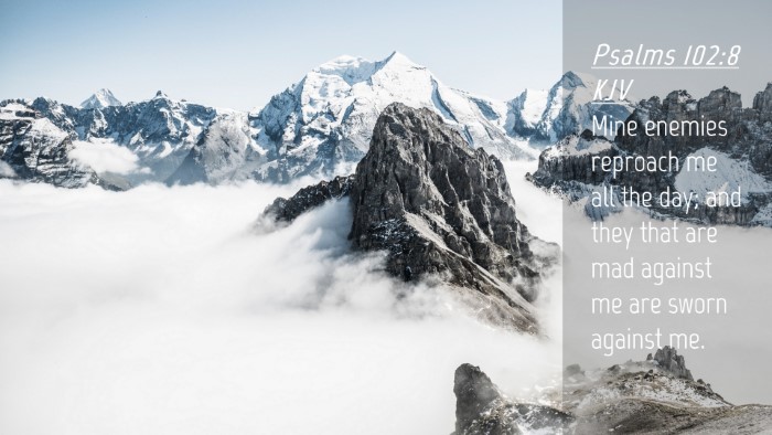 Picture 04 - Psalms 102:8 KJV Desktop Wallpaper - Mine enemies reproach me all the day; and they - Desktop Bible Verse Wallpaper
