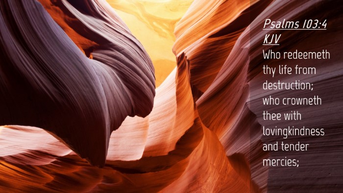 Picture 04 - Psalms 103:4 KJV Desktop Wallpaper - Who redeemeth thy life from destruction; who - Desktop Bible Verse Wallpaper