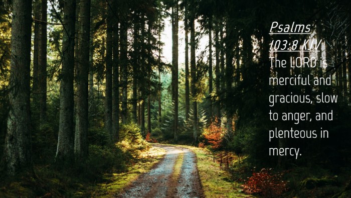 Picture 04 - Psalms 103:8 KJV Desktop Wallpaper - The LORD is merciful and gracious, slow to anger, - Desktop Bible Verse Wallpaper