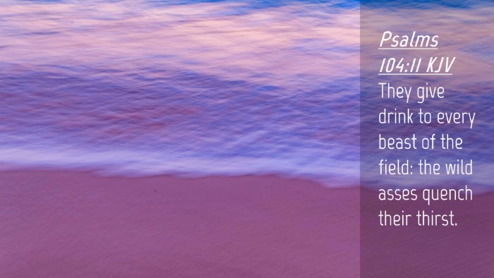Picture 04 - Psalms 104:11 KJV Desktop Wallpaper - They give drink to every beast of the field: the - Desktop Bible Verse Wallpaper