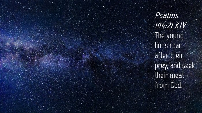 Picture 04 - Psalms 104:21 KJV Desktop Wallpaper - The young lions roar after their prey, and seek - Desktop Bible Verse Wallpaper