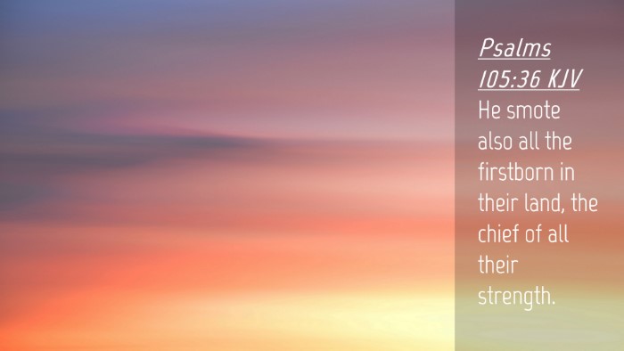 Picture 04 - Psalms 105:36 KJV Desktop Wallpaper - He smote also all the firstborn in their land, - Desktop Bible Verse Wallpaper