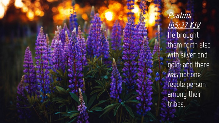 Picture 04 - Psalms 105:37 KJV Desktop Wallpaper - He brought them forth also with silver and gold: - Desktop Bible Verse Wallpaper