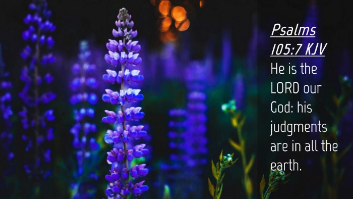 Picture 04 - Psalms 105:7 KJV Desktop Wallpaper - He is the LORD our God: his judgments are in all - Desktop Bible Verse Wallpaper