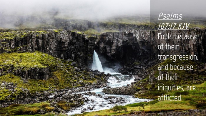 Picture 04 - Psalms 107:17 KJV Desktop Wallpaper - Fools because of their transgression, and because - Desktop Bible Verse Wallpaper