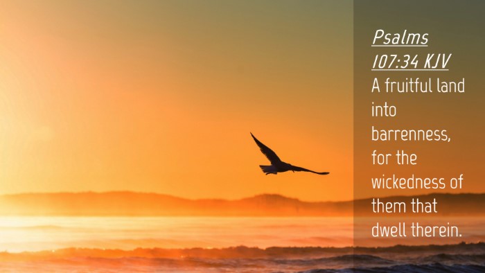 Picture 04 - Psalms 107:34 KJV Desktop Wallpaper - A fruitful land into barrenness, for the - Desktop Bible Verse Wallpaper