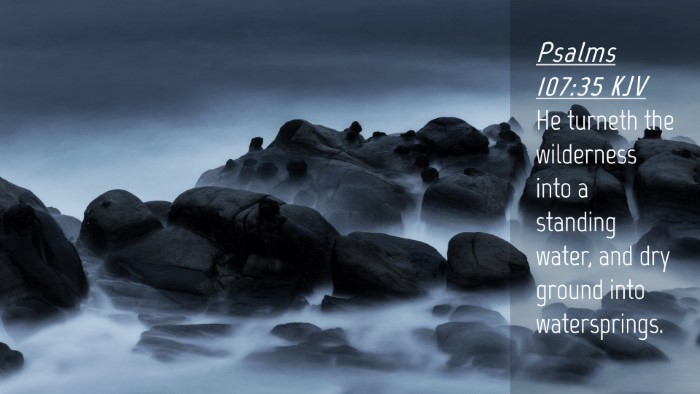 Picture 04 - Psalms 107:35 KJV Desktop Wallpaper - He turneth the wilderness into a standing water, - Desktop Bible Verse Wallpaper