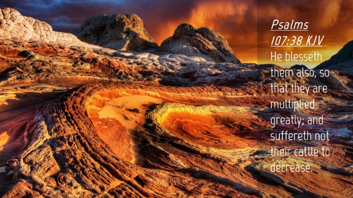 Picture 04 - Psalms 107:38 KJV Desktop Wallpaper - He blesseth them also, so that they are - Desktop Bible Verse Wallpaper