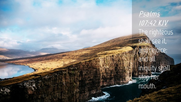 Picture 04 - Psalms 107:42 KJV Desktop Wallpaper - The righteous shall see it, and rejoice: and all - Desktop Bible Verse Wallpaper