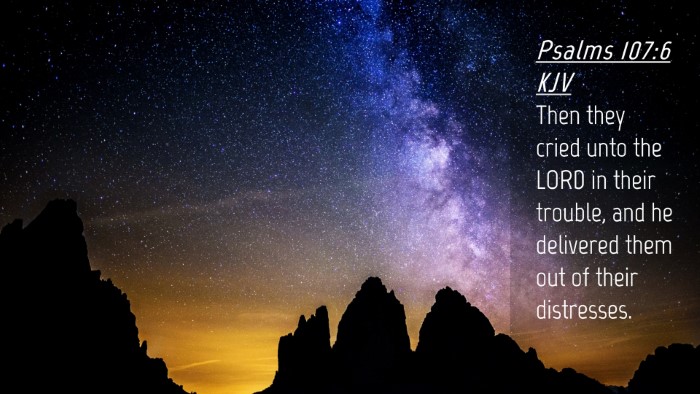 Picture 04 - Psalms 107:6 KJV Desktop Wallpaper - Then they cried unto the LORD in their trouble, - Desktop Bible Verse Wallpaper