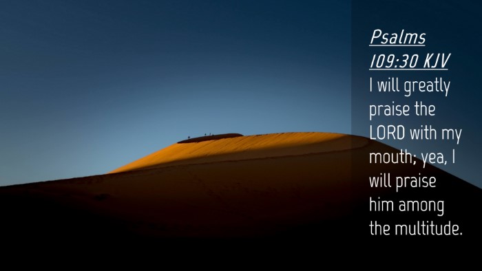 Picture 04 - Psalms 109:30 KJV Desktop Wallpaper - I will greatly praise the LORD with my mouth; - Desktop Bible Verse Wallpaper