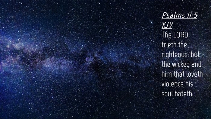 Picture 04 - Psalms 11:5 KJV Desktop Wallpaper - The LORD trieth the righteous: but the wicked and - Desktop Bible Verse Wallpaper