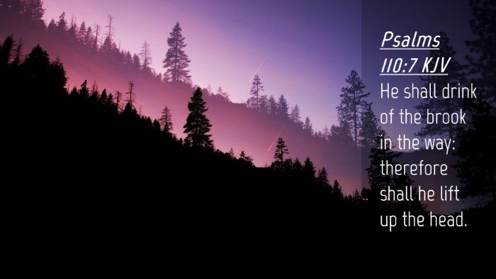 Picture 04 - Psalms 110:7 KJV Desktop Wallpaper - He shall drink of the brook in the way: therefore - Desktop Bible Verse Wallpaper