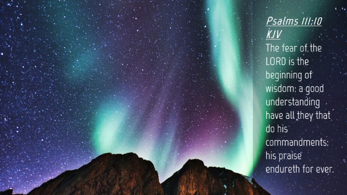 Picture 04 - Psalms 111:10 KJV Desktop Wallpaper - The fear of the LORD is the beginning of wisdom: - Desktop Bible Verse Wallpaper
