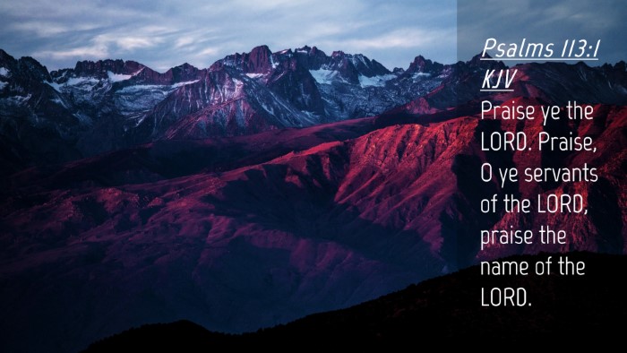 Picture 04 - Psalms 113:1 KJV Desktop Wallpaper - Praise ye the LORD. Praise, O ye servants of the - Desktop Bible Verse Wallpaper
