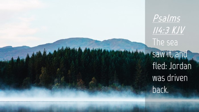 Picture 04 - Psalms 114:3 KJV Desktop Wallpaper - The sea saw it, and fled: Jordan was driven - Desktop Bible Verse Wallpaper