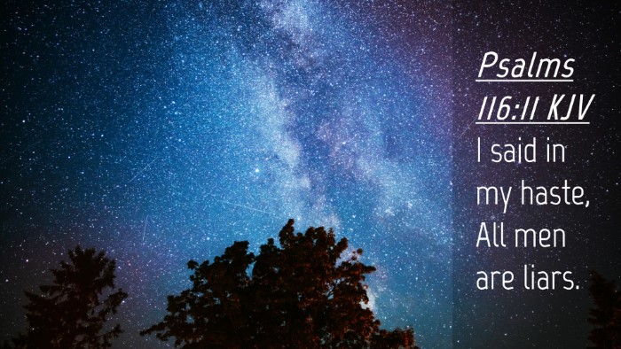 Picture 04 - Psalms 116:11 KJV Desktop Wallpaper - I said in my haste, All men are - Desktop Bible Verse Wallpaper