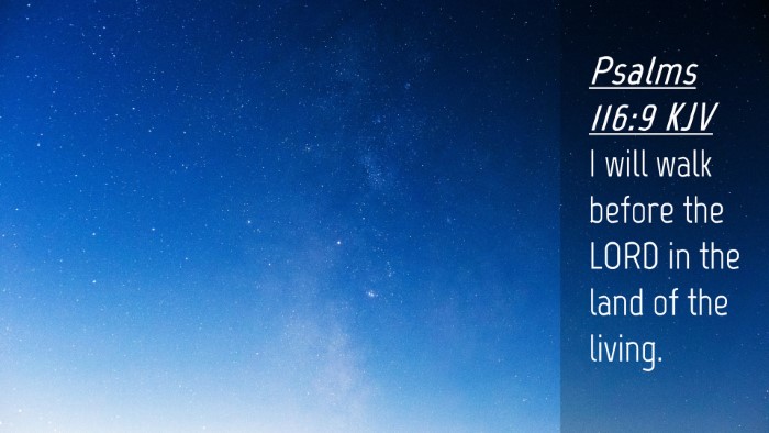 Picture 04 - Psalms 116:9 KJV Desktop Wallpaper - I will walk before the LORD in the land of the - Desktop Bible Verse Wallpaper