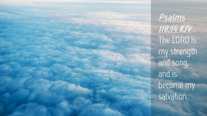 Picture 04 - Psalms 118:14 KJV Desktop Wallpaper - The LORD is my strength and song, and is become - Desktop Bible Verse Wallpaper