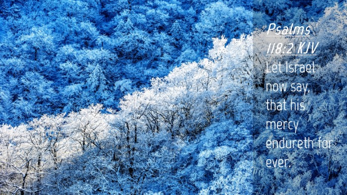 Picture 04 - Psalms 118:2 KJV Desktop Wallpaper - Let Israel now say, that his mercy endureth for - Desktop Bible Verse Wallpaper