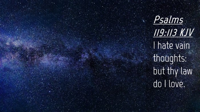 Picture 04 - Psalms 119:113 KJV Desktop Wallpaper - I hate vain thoughts: but thy law do I - Desktop Bible Verse Wallpaper