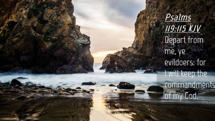 Picture 04 - Psalms 119:115 KJV Desktop Wallpaper - Depart from me, ye evildoers: for I will keep the - Desktop Bible Verse Wallpaper