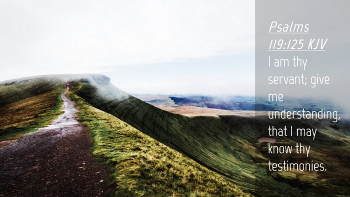 Picture 04 - Psalms 119:125 KJV Desktop Wallpaper - I am thy servant; give me understanding, that I - Desktop Bible Verse Wallpaper