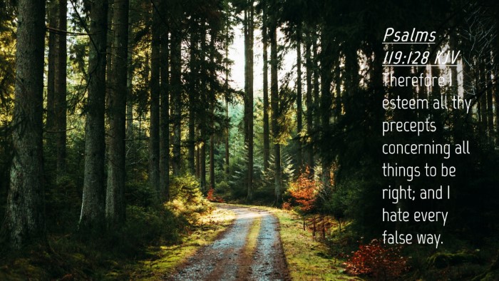 Picture 04 - Psalms 119:128 KJV Desktop Wallpaper - Therefore I esteem all thy precepts concerning - Desktop Bible Verse Wallpaper