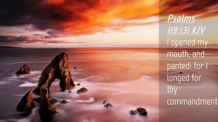 Picture 04 - Psalms 119:131 KJV Desktop Wallpaper - I opened my mouth, and panted: for I longed for - Desktop Bible Verse Wallpaper