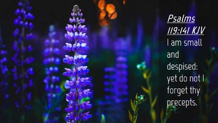 Picture 04 - Psalms 119:141 KJV Desktop Wallpaper - I am small and despised: yet do not I forget thy - Desktop Bible Verse Wallpaper