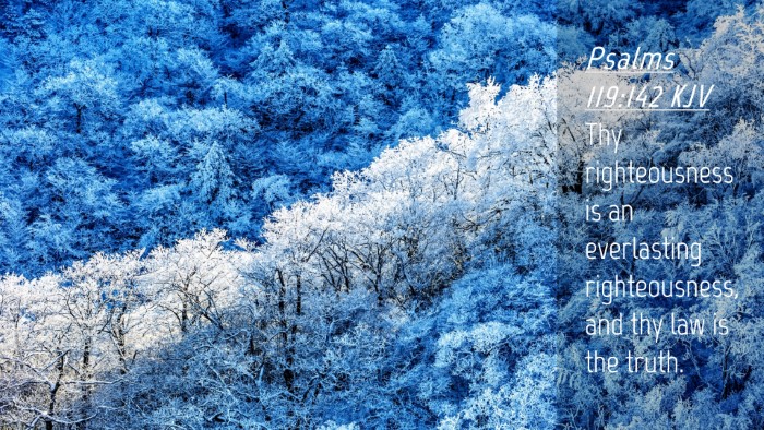 Picture 04 - Psalms 119:142 KJV Desktop Wallpaper - Thy righteousness is an everlasting - Desktop Bible Verse Wallpaper