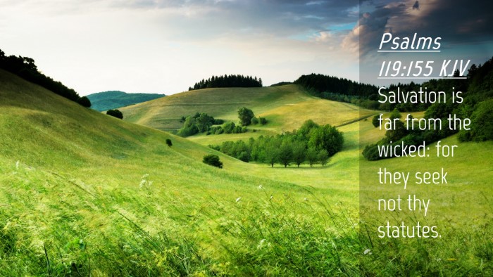 Picture 04 - Psalms 119:155 KJV Desktop Wallpaper - Salvation is far from the wicked: for they seek - Desktop Bible Verse Wallpaper
