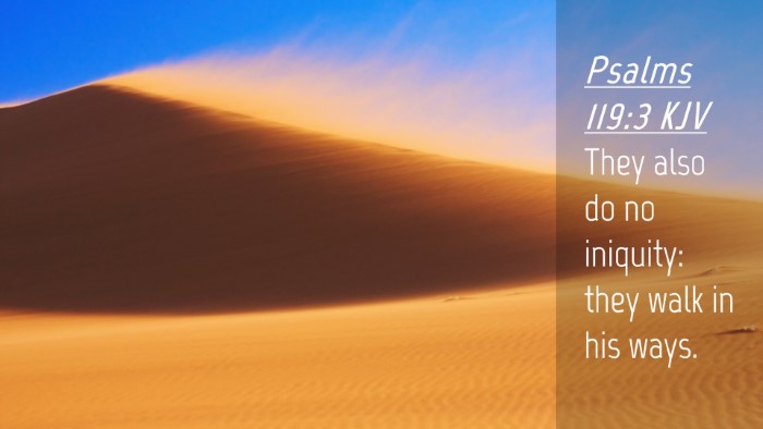 Picture 04 - Psalms 119:3 KJV Desktop Wallpaper - They also do no iniquity: they walk in his - Desktop Bible Verse Wallpaper