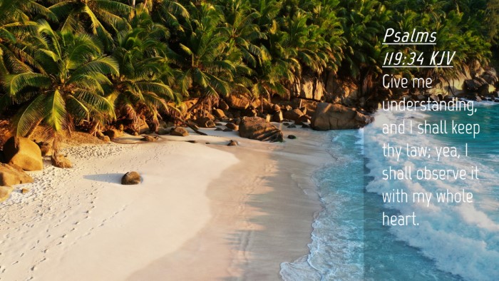 Picture 04 - Psalms 119:34 KJV Desktop Wallpaper - Give me understanding, and I shall keep thy law; - Desktop Bible Verse Wallpaper