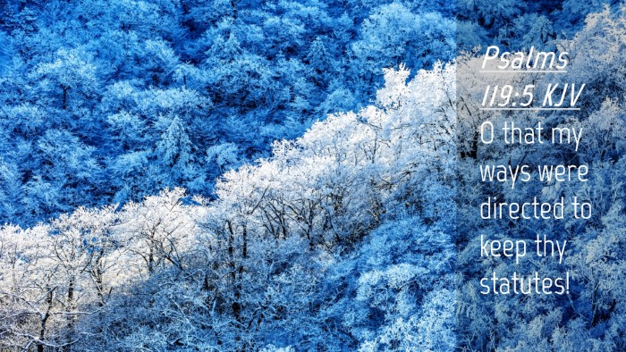 Picture 04 - Psalms 119:5 KJV Desktop Wallpaper - O that my ways were directed to keep thy - Desktop Bible Verse Wallpaper