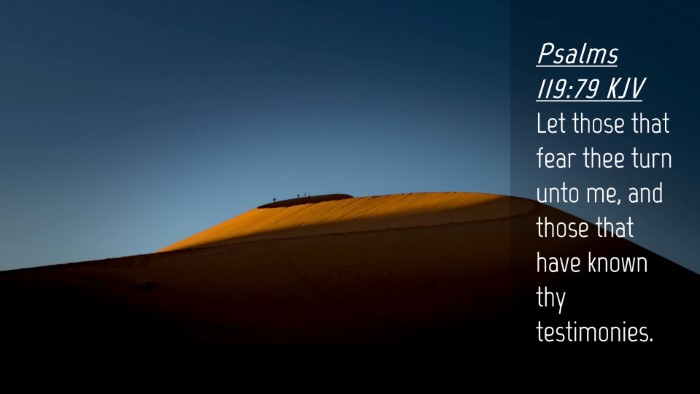 Picture 04 - Psalms 119:79 KJV Desktop Wallpaper - Let those that fear thee turn unto me, and those - Desktop Bible Verse Wallpaper