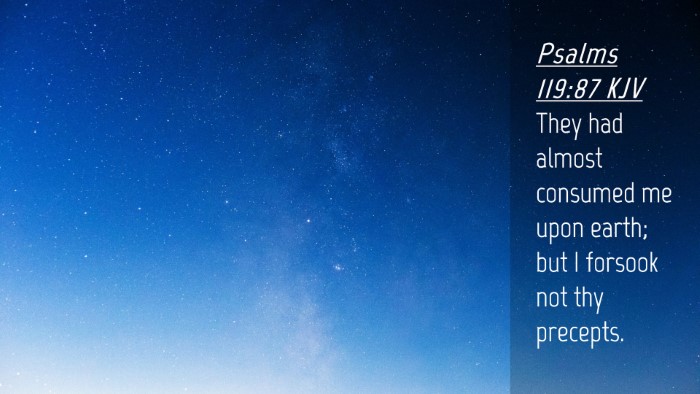 Picture 04 - Psalms 119:87 KJV Desktop Wallpaper - They had almost consumed me upon earth; but I - Desktop Bible Verse Wallpaper