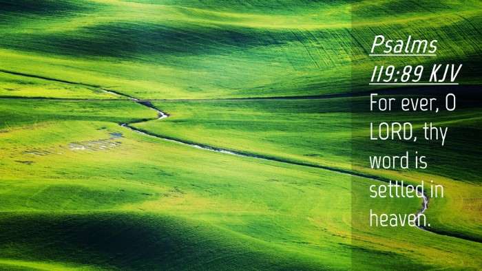 Picture 04 - Psalms 119:89 KJV Desktop Wallpaper - For ever, O LORD, thy word is settled in - Desktop Bible Verse Wallpaper